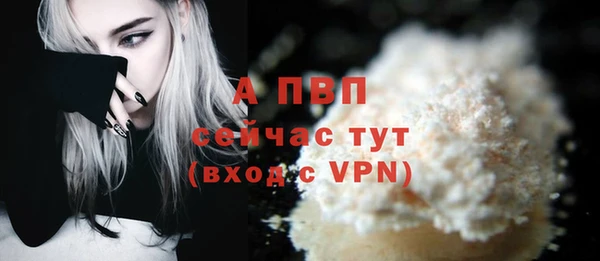 шишки Белоозёрский