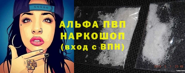 эйфоретик Белокуриха