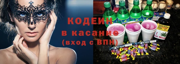 шишки Белоозёрский