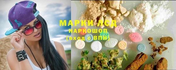 шишки Белоозёрский