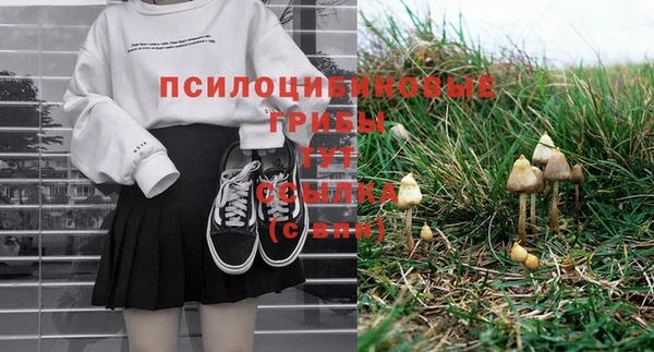 шишки Белоозёрский