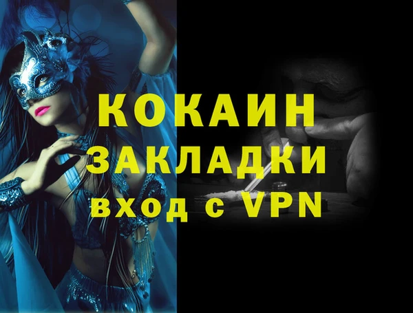 шишки Белоозёрский