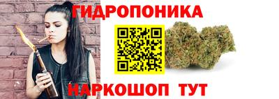 крисы Волжск